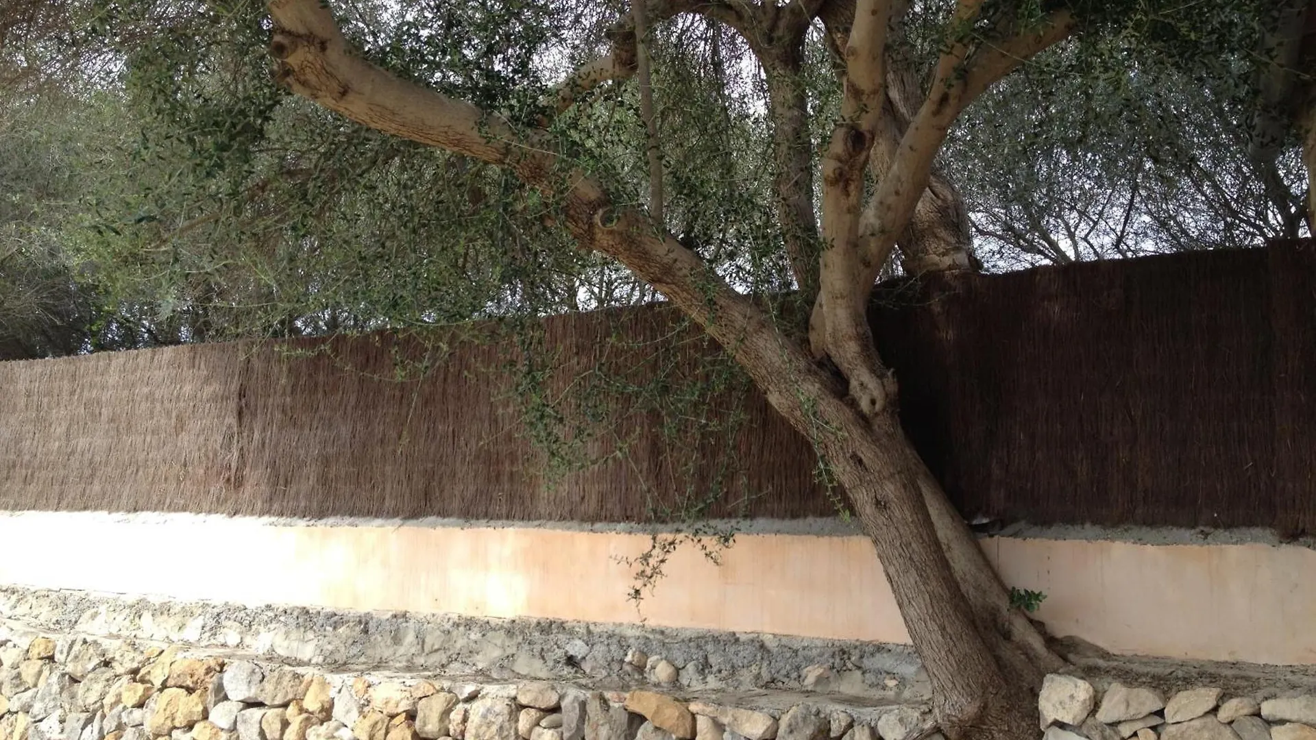 Agroturismo Finca Dalt Murada Binissalem 0*,  Spain