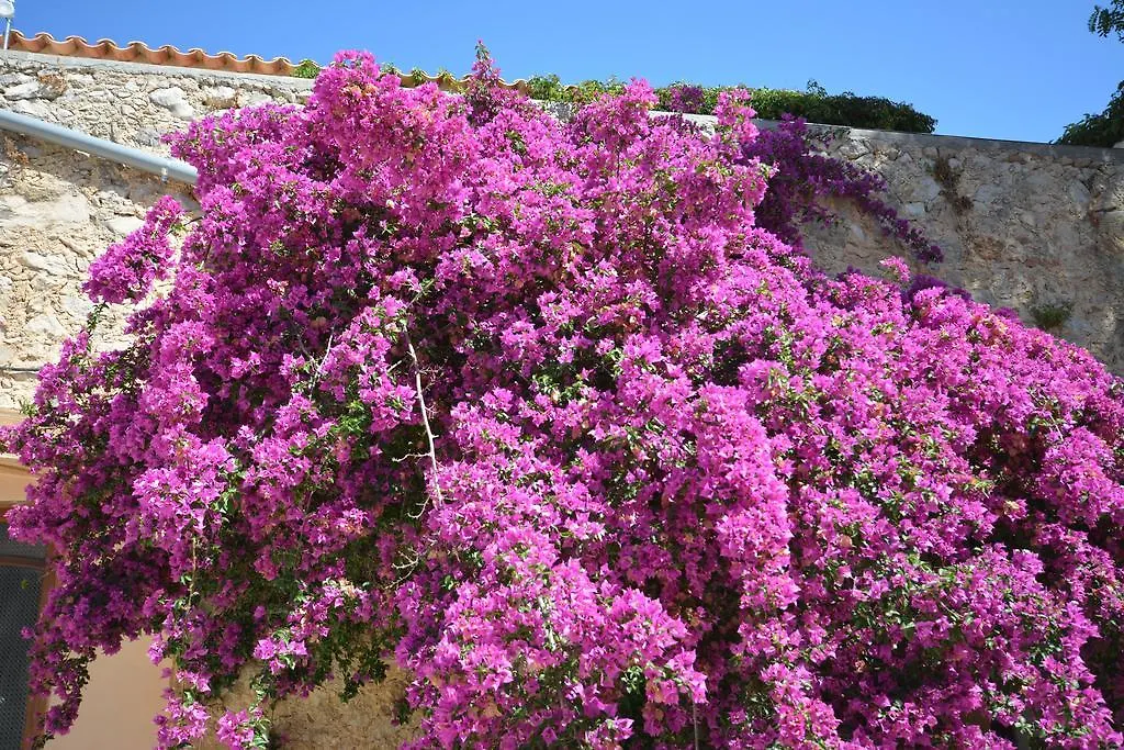 Agroturismo Finca Dalt Murada Binissalem