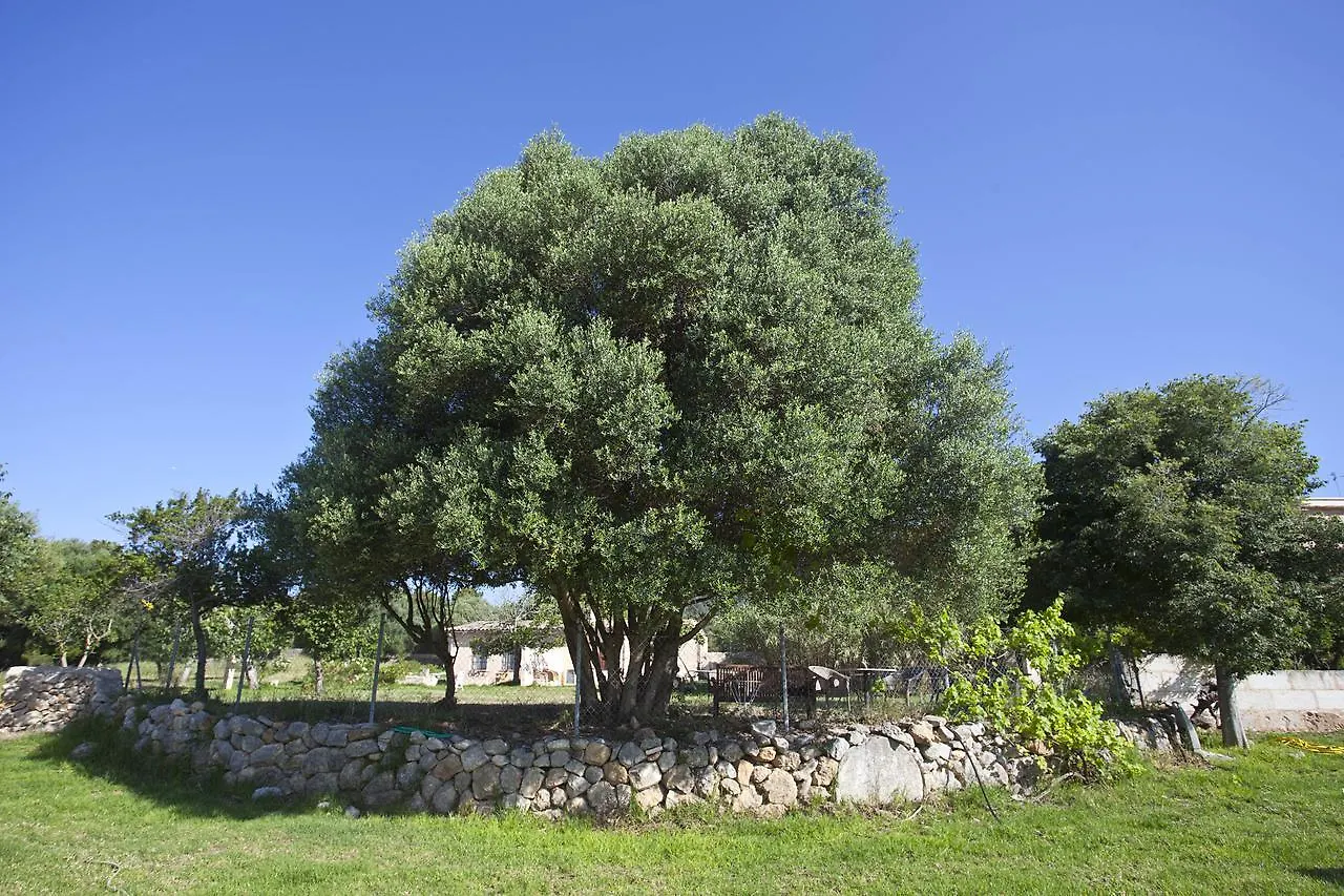 Agroturismo Finca Dalt Murada Binissalem 0*,
