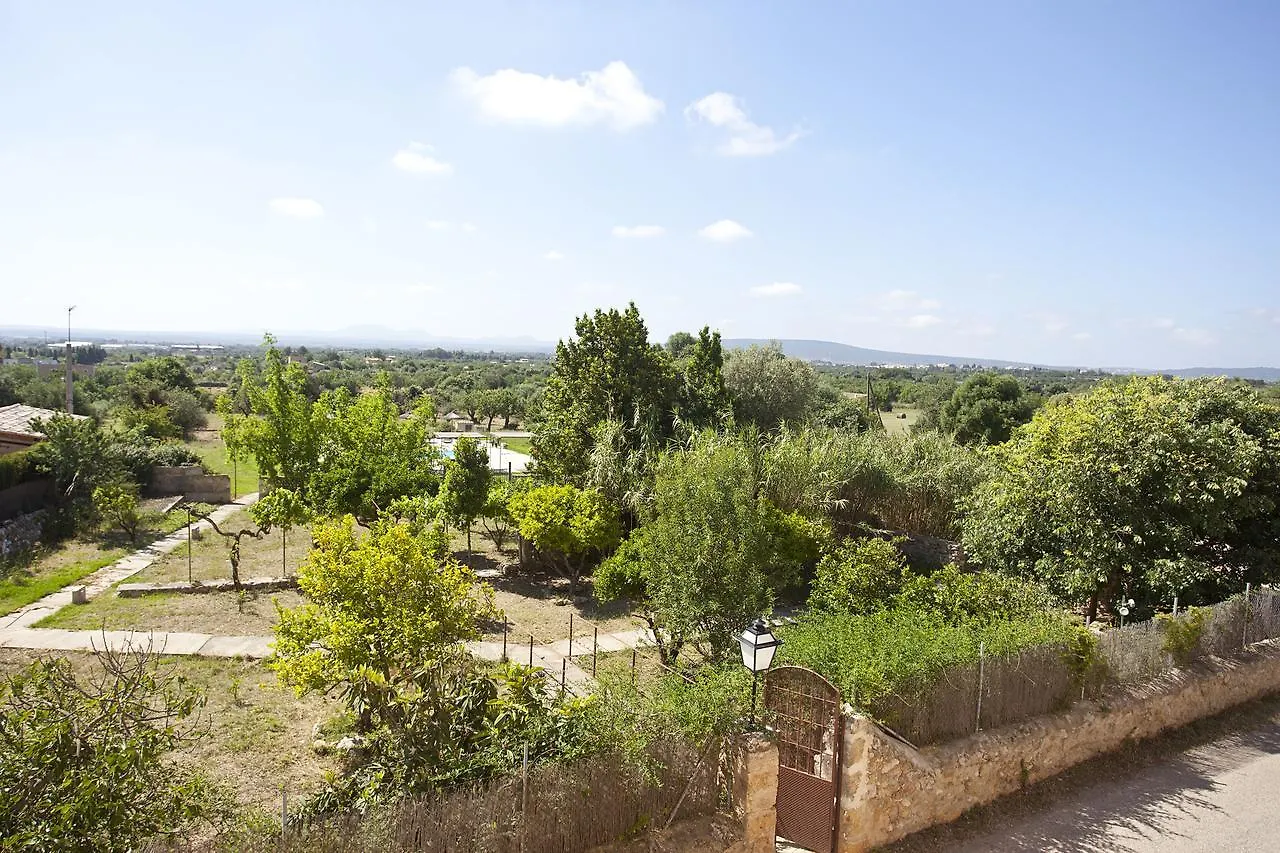 Agroturismo Finca Dalt Murada Binissalem Farm stay